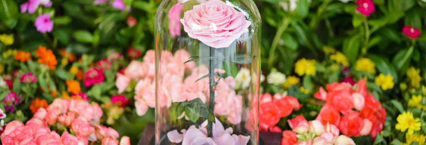 Parfait compromis entre des roses fraîches et une plante synthétique, la fleur éternelle est une très belle idée cadeau à offrir pour symboliser votre attachement.